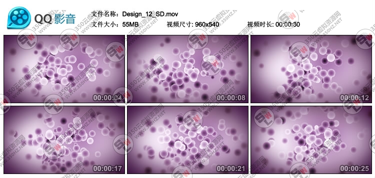 AE动态视频素材