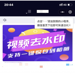 短视频去水印小程序源码
